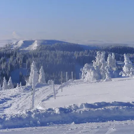Appartement Haus Aretz *