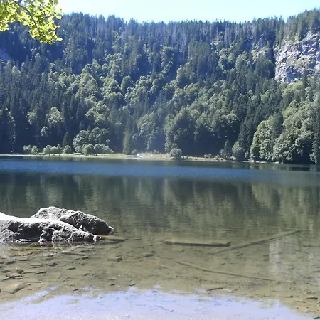 Appartement Haus Aretz Feldberg (Baden-Wurttemberg)
