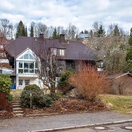 Διαμέρισμα Haus Aretz Feldberg (Baden-Wurttemberg)